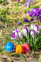 Colorfully painted easter eggs with flowers on the grass on a sunny day.