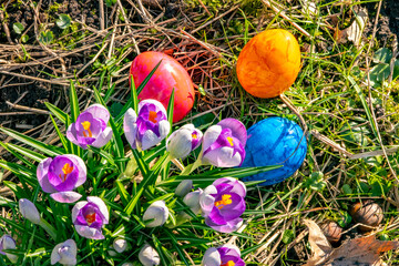 Colorfully painted easter eggs with flowers on the grass on a sunny day.