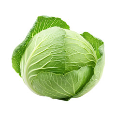 Obraz premium Fresh green cabbage with vibrant leaves