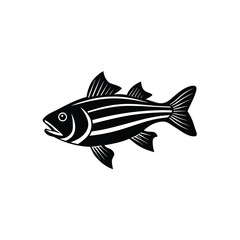 Striped Bass Silhouette Vector | Black Striped Bass Fish Illustration Design