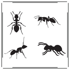 Ant silhouette, Ant illustration , Ant clipart, Ant vector,  Ant icon , black Ant, Ant illustration on white background,