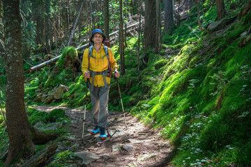 Obraz premium Mountaineer man trekking through a lush forest trail on a sunny day, enjoying nature and outdoor adventure in the mountains.