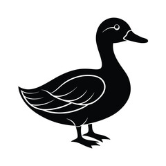 duck on white vector illustration