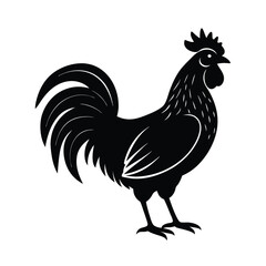 rooster isolated on white vector illustration