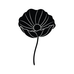 vector poppy flower vector illustration