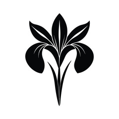 vector illustration of a plant