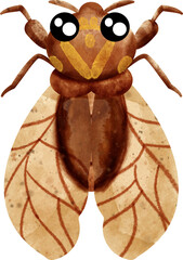 watercolor cicada