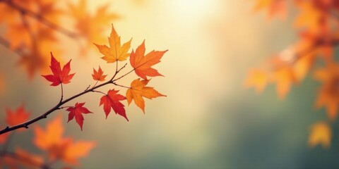 Autumnal Branch with Vibrant Red and Orange Maple Leaves Against a Soft-Focus Background