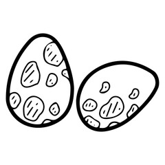 Dinosaur eggs. Hand drawn doodle. The shell is a vessel for the development of the embryo of an ancient lizard. The offspring of an animal. Vector line art illustration.