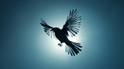 Obraz premium Silhouette of a Bird Against Radiant Blue Light