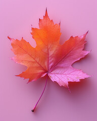 Colorful Various Leaves on a Pastel Background, Nature and Botanical Concept  
