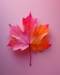 Colorful Various Leaves on a Pastel Background, Nature and Botanical Concept  
