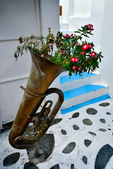 Greece, Paros Island, Flower and Music