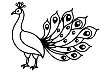 Obraz premium Detailed Peacock Line Art Vector with Decorative Feathers and Elegant Style