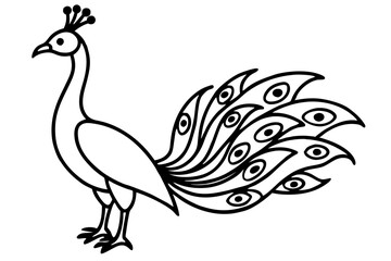 Obraz premium Detailed Peacock Line Art Vector with Decorative Feathers and Elegant Style