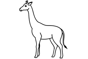 Elegant Fine Line Giraffe Vector | Safari Wildlife Outline Art

