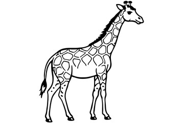 Elegant Fine Line Giraffe Vector | Safari Wildlife Outline Art

