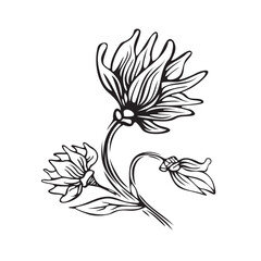 Abstract stylized flower. Black and white graphics. Hand drawing