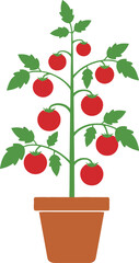 A vibrant tomato plant in a brown pot, featuring red fruit and green leaves, depicted in a minimal flat design style, showcasing freshness and vitality, vector illustration