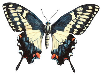 PNG Butterfly flowers background drawing.