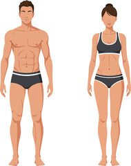 Male and female fitness models showcasing toned physiques in flat design style with a modern aesthetic emphasizing health and wellness vector illustration