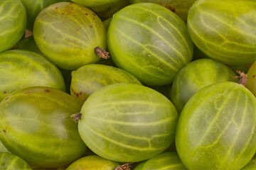 Gooseberries Backgrounds