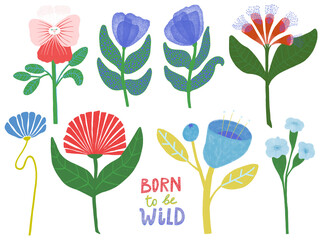 Set of different bold colorful wild flowers