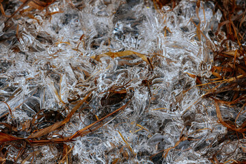 A close-up of frozen grass and leaves encased in intricate ice formations. The transparent ice contrasts with the brown, dried vegetation, creating a detailed and textured winter scene.