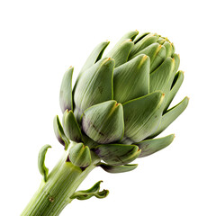Fresh Green Artichoke with Stem On Transparent Background
