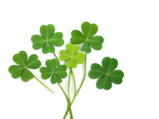 A collection of vibrant green shamrocks arranged in an artistic pattern on a white background, symbolizing good luck and Irish heritage.
