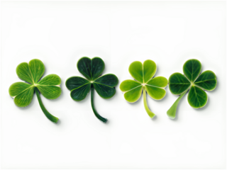 A collection of vibrant green shamrocks arranged in an artistic pattern on a white background, symbolizing good luck and Irish heritage.
