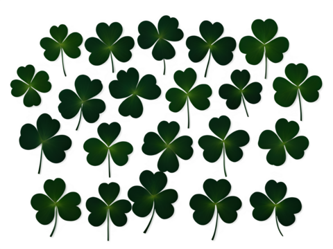 A collection of vibrant green shamrocks arranged in an artistic pattern on a white background, symbolizing good luck and Irish heritage.
