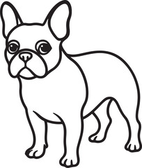 bulldog puppy line art, black outline, vector and illustration, coloring book page line art drawing