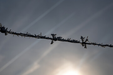 Snow-covered barbed wire fence in winter with sky and sun