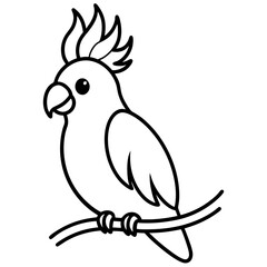 vector illustration of a parrot