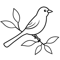 vector illustration of a bird