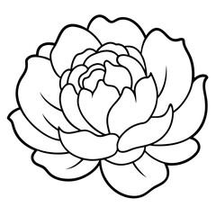 vector illustration of lotus flower
