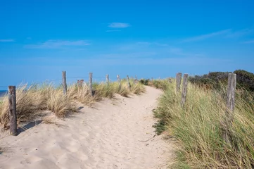 Path through the dunes with fence and beach grass on the North Sea coast © Claudia Evans 