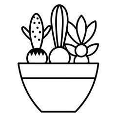 cactus in a pot