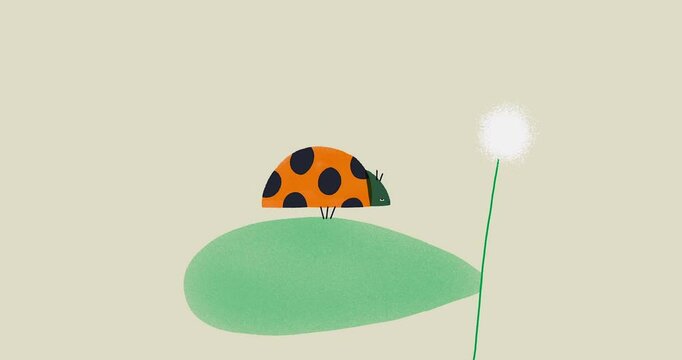 ladybird on a flower