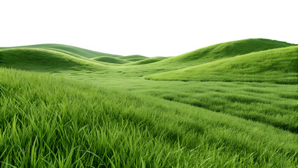 Lush Green Grassland &ndash; Isolated Rolling Hills Landscape