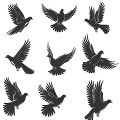 Fototapeta premium Set of Silhouettes of Doves in Flight