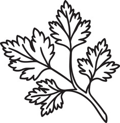 parsley line art, black outline, vector and illustration, coloring book page line art drawing