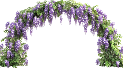 Purple Wisteria Floral Arch Isolated on Transparent Background

