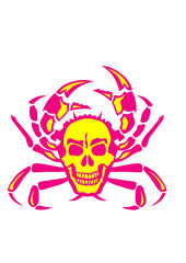crabe tete de mort crane