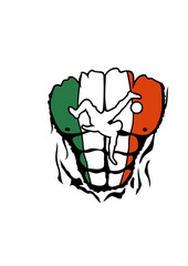 football irlande corps muscle dechire drapeau torse