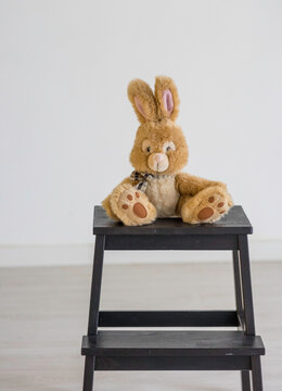 Conejo de peluche