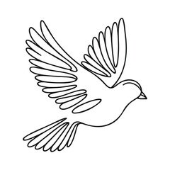 Bird line drawing. Doodle outline vector illustration