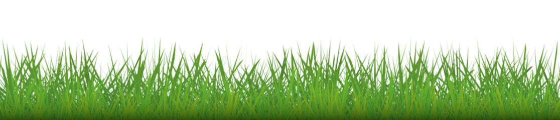 Vector bright green grass pattern, lawn texture isolated on white background