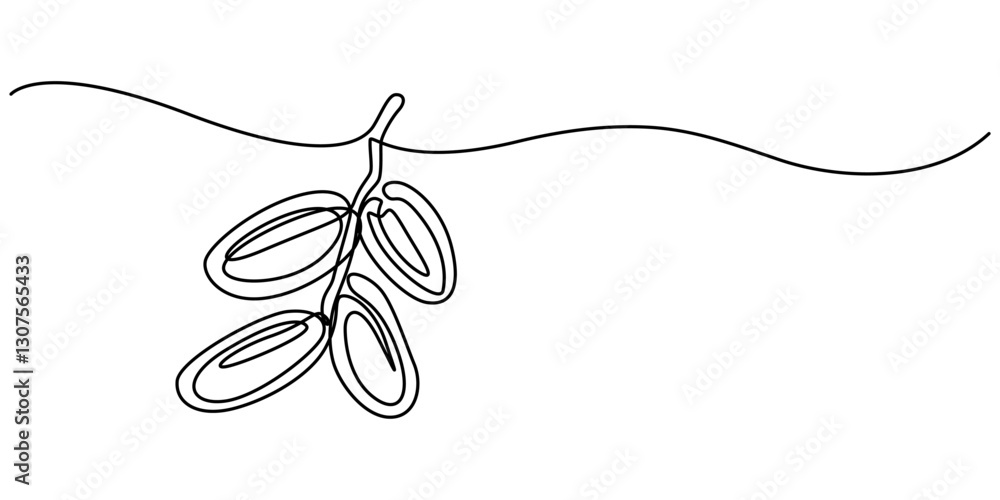 Poster continuous one line drawing of dates palm fruit. vector illustration, continuous line design of man 